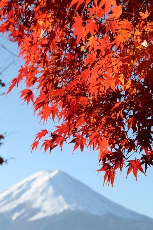 Willa 御師の家　梅谷（Umeya） Fujikawaguchiko Zewnętrze zdjęcie